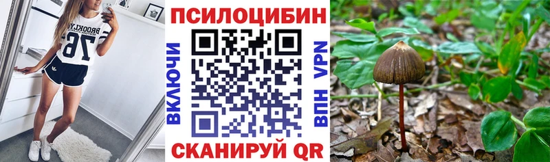 как найти закладки  Невельск  Псилоцибиновые грибы GOLDEN TEACHER 